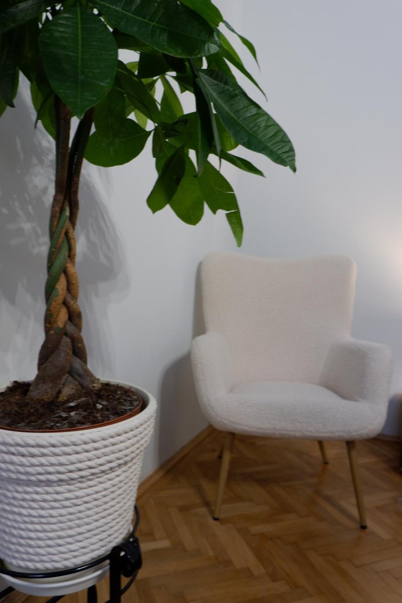 2 Bedroom Oldtown Mountain View With Private Terrace And High Ceilings Apartment Brasov